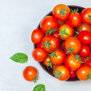 전북 김제 산지직송 체리 토마토 스테비아 먹은 대추방울토마토 칵테일 단 토마토 택배 1kg 2kg