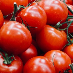 프리미엄 완숙 맛있는 토마토 2kg 5키로 10kg 여름 제철과일 판매